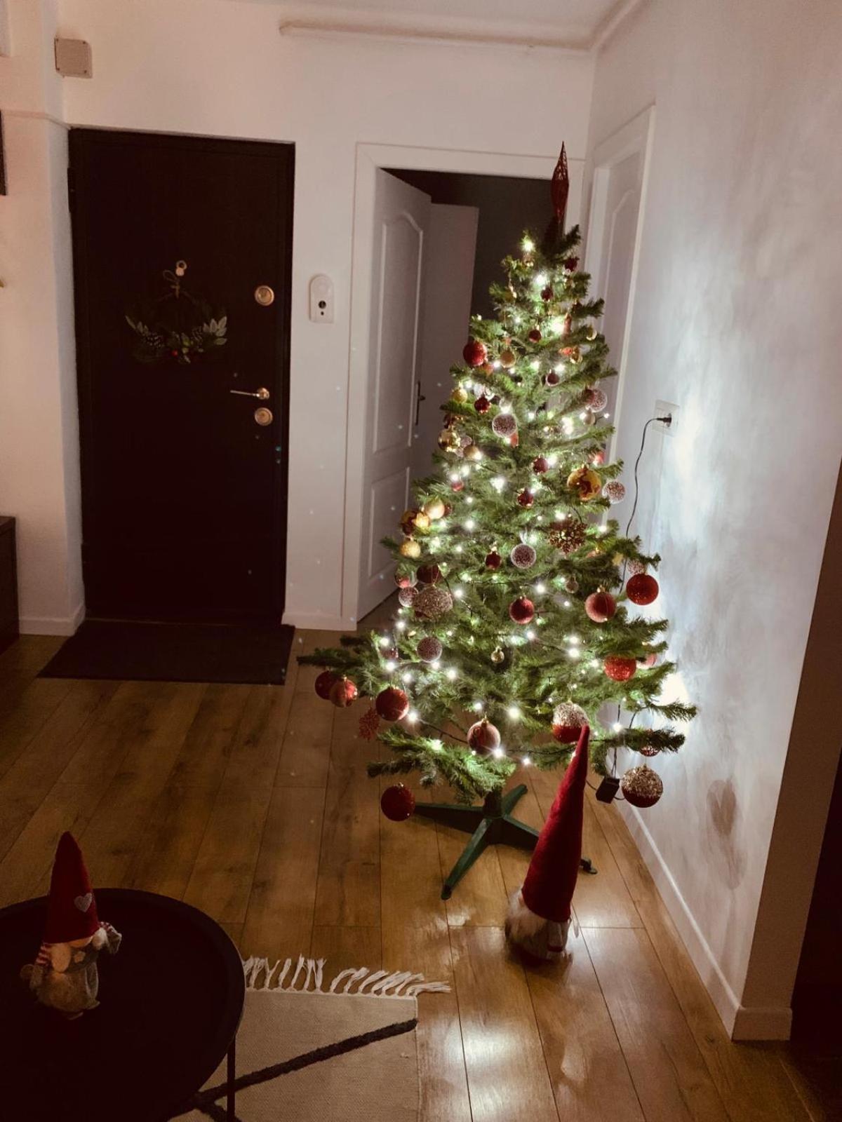 Iris Apartment Piatra Neamţ Exterior foto